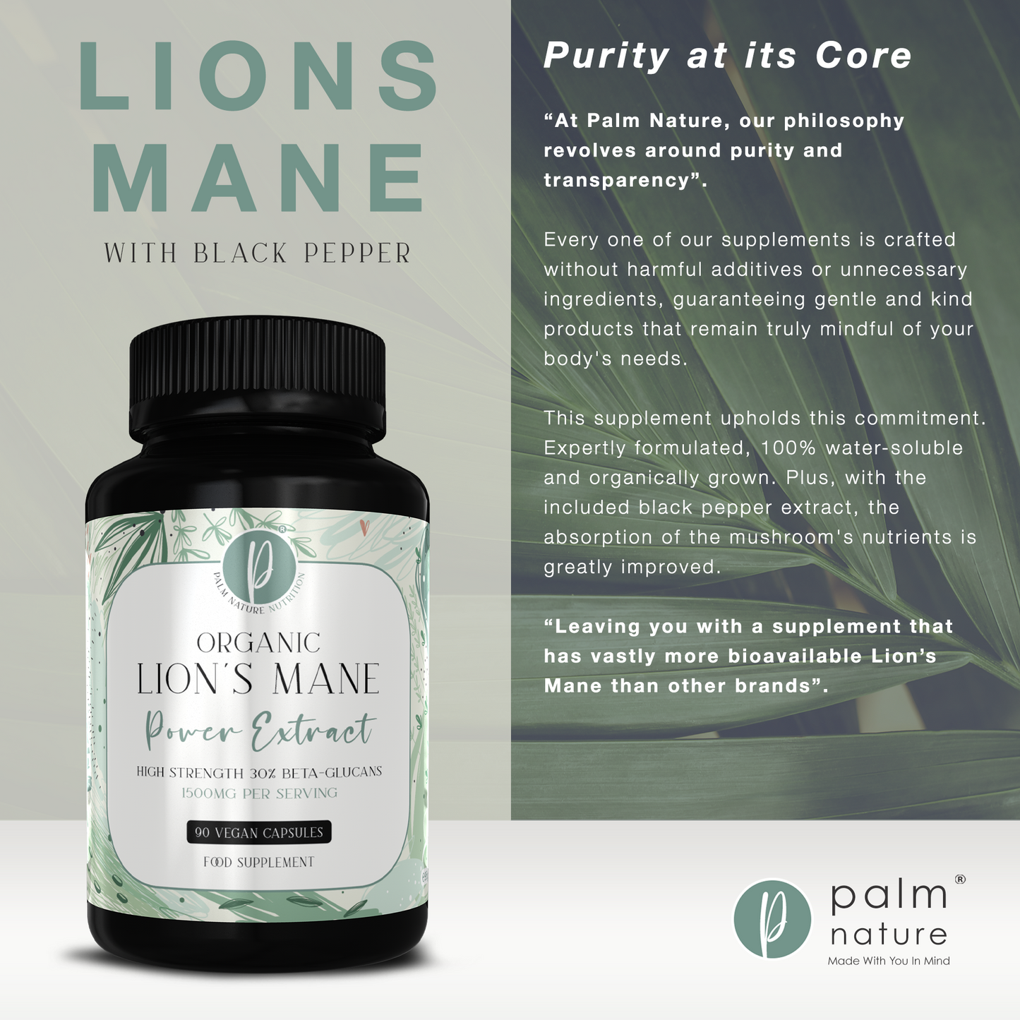 Organic Lions Mane Power Extract