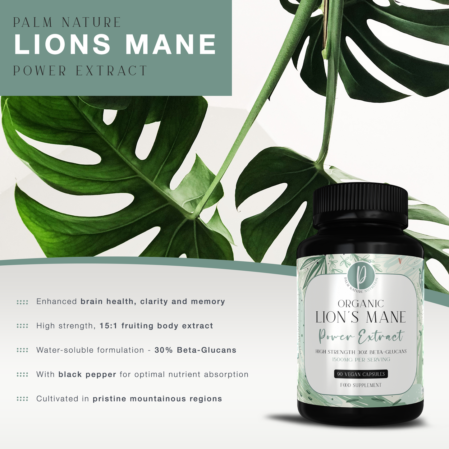 Organic Lions Mane Power Extract