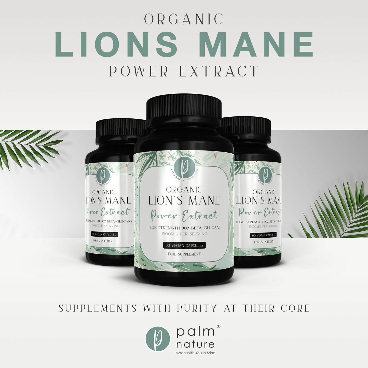 Organic Lions Mane Power Extract