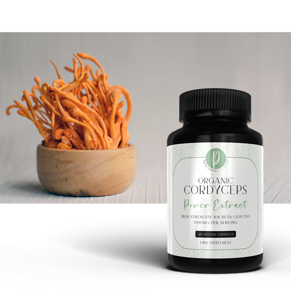 Organic Cordyceps Power Estratto