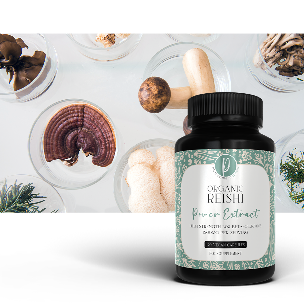 Organic Reishi Power Extract