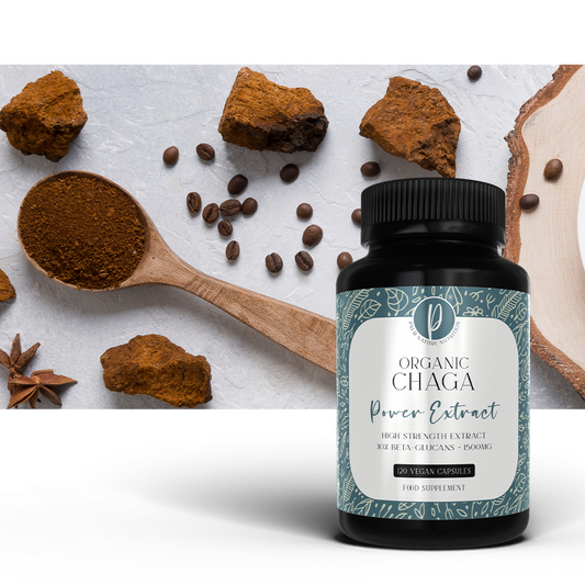 Organic Chaga Power Extrakt