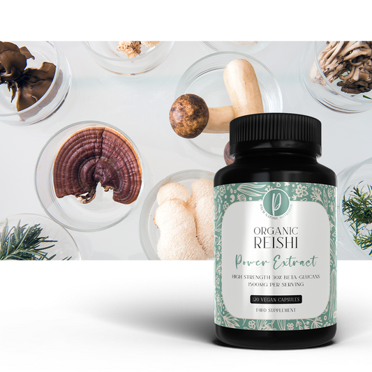 Organic Reishi Power Extracto